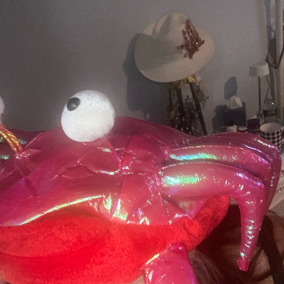 Don’t be CRABBY 🦀🦀cutest hat 🦀and matching crab crossover 🦀🦀 - Picture 12 of 12